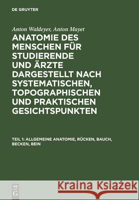 Allgemeine Anatomie, Rücken, Bauch, Becken, Bein Anton Waldeyer, Anton Mayet, Anton Waldeyer, Anton Mayet 9783111213200