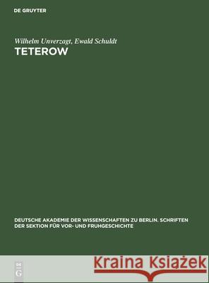 Teterow: Ein Slawischer Burgwall in Mecklenburg Wilhelm Ewald Unverzagt Schuldt, Ewald Schuldt 9783112574195