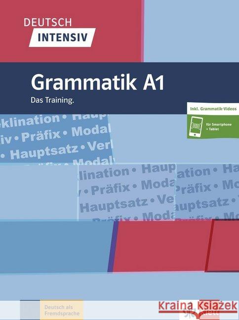 Deutsch intensiv: Grammatik A1 Christiane Lemcke, Lutz Rohrmann 9783126750578 Klett (Ernst) Verlag,Stuttgart