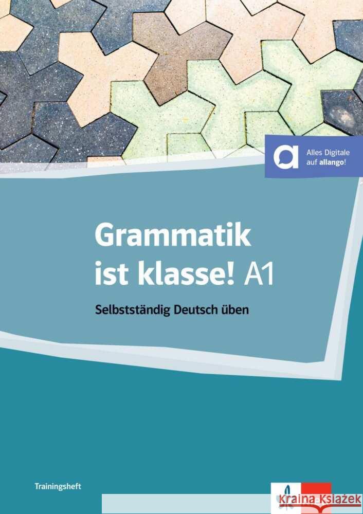 Grammatik ist Klasse! A1 Dammann, Arwen, Fleer, Sarah 9783126759649