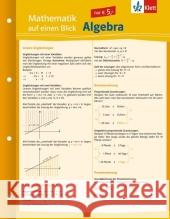 Mathematik auf einen Blick, Algebra Hild, Rainer   9783129203323 Klett