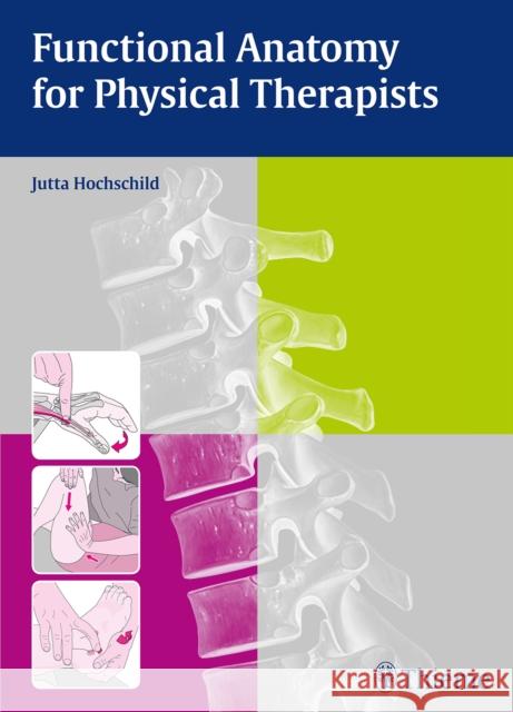 Functional Anatomy for Physical Therapists Jutta Hochschild 9783131768612 Thieme Medical Publishers