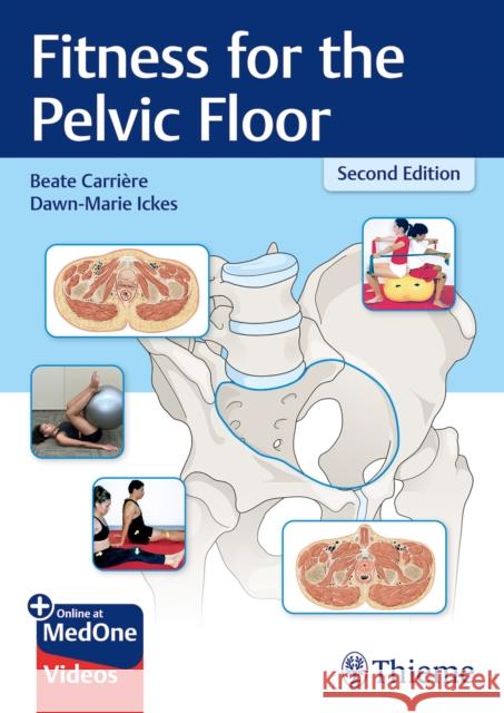Fitness for the Pelvic Floor Dawn-Marie Ickes 9783132423985 Thieme Publishing Group
