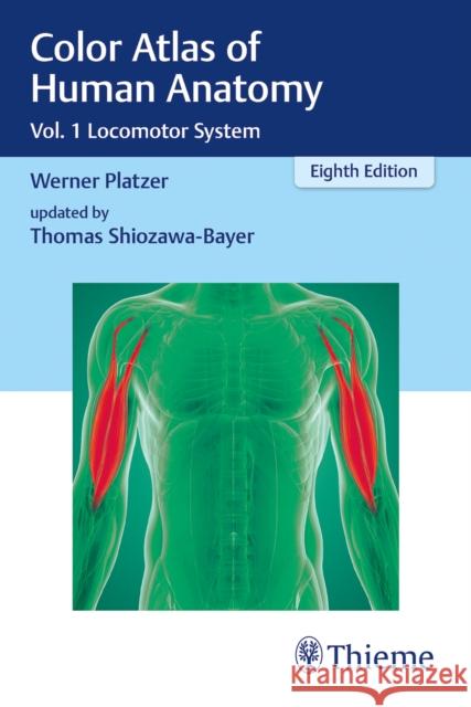 Color Atlas of Human Anatomy: Vol. 1 Locomotor System Platzer, Werner 9783132424432 Thieme, Stuttgart