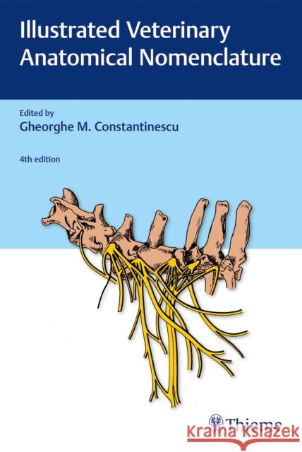 Illustrated Veterinary Anatomical Nomenclature Schaller, Oskar 9783132425170 Thieme Publishing Group
