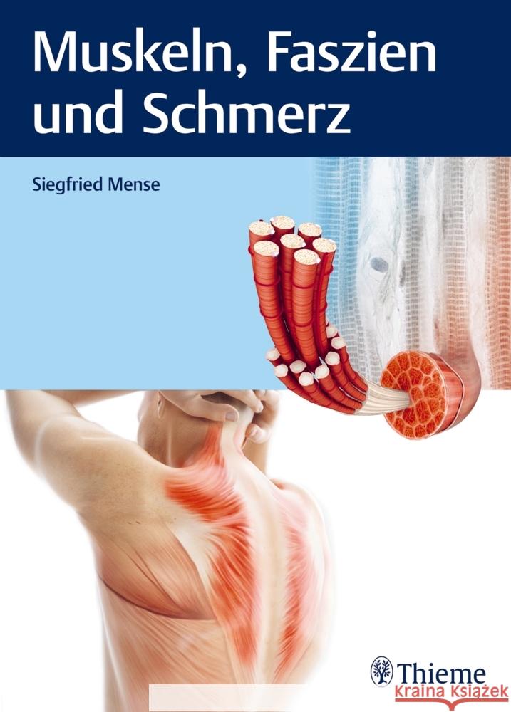 Muskeln, Faszien und Schmerz Mense, Siegfried 9783132426610 Thieme, Stuttgart