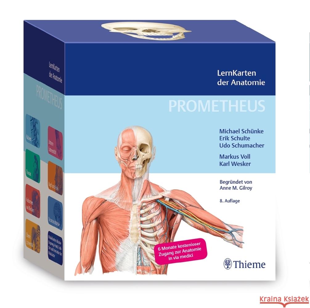 PROMETHEUS LernKarten der Anatomie Schünke, Michael, Schulte, Erik, Schumacher, Udo 9783132444256