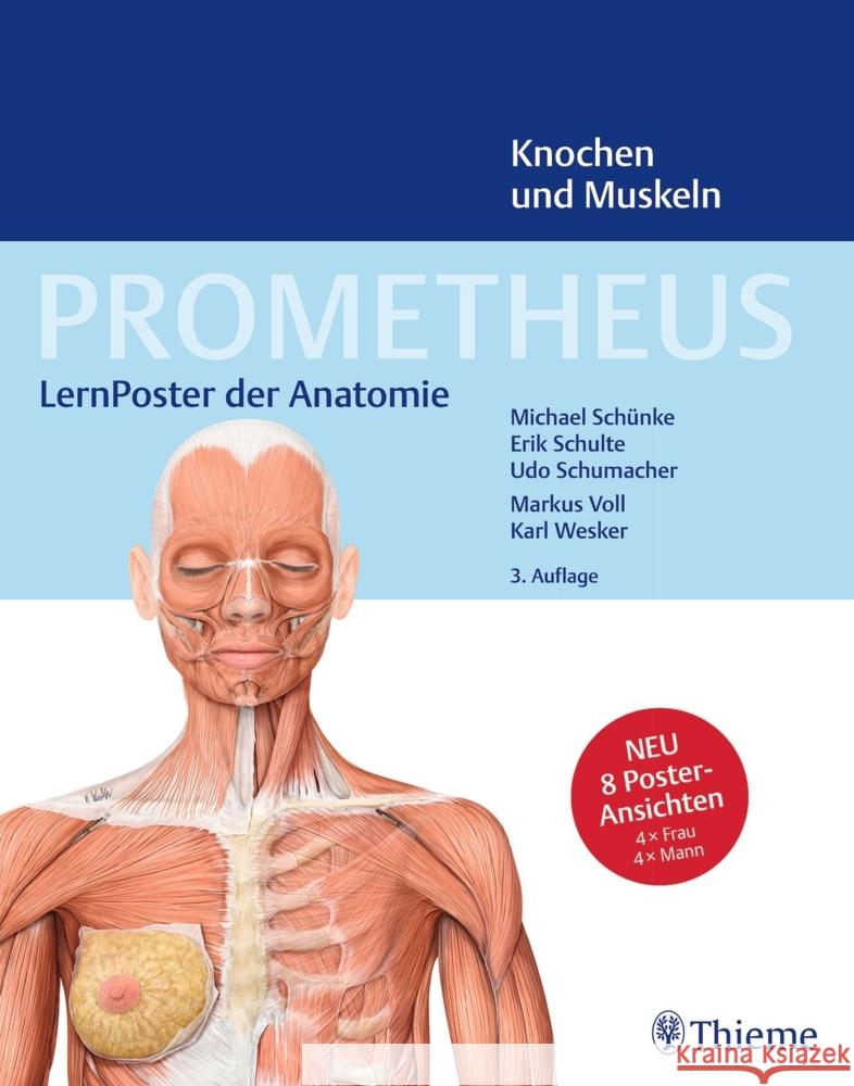 PROMETHEUS LernPoster der Anatomie, Knochen und Muskeln Schünke, Michael, Schulte, Erik, Schumacher, Udo 9783132444263