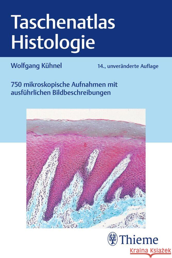 Taschenatlas Histologie Kühnel, Wolfgang 9783132459663 Thieme, Stuttgart