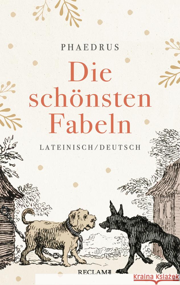 Die schönsten Fabeln Phaedrus 9783150114889