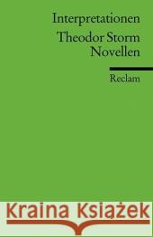 Theodor Storm Novellen Storm, Theodor Deupmann, Christoph  9783150175347 Reclam, Ditzingen