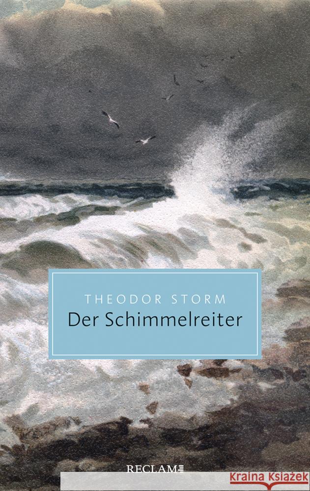 Der Schimmelreiter Storm, Theodor 9783150206102 Reclam, Ditzingen