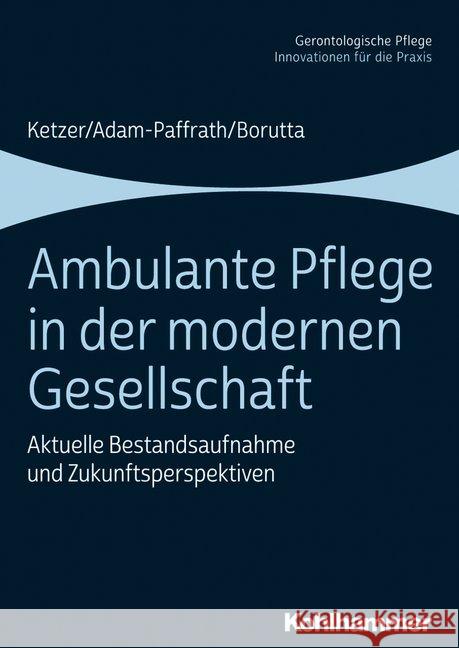 Ambulante Pflege in Der Modernen Gesellschaft: Aktuelle Bestandsaufnahme Und Zukunftsperspektiven Ketzer, Ruth 9783170328563 Kohlhammer