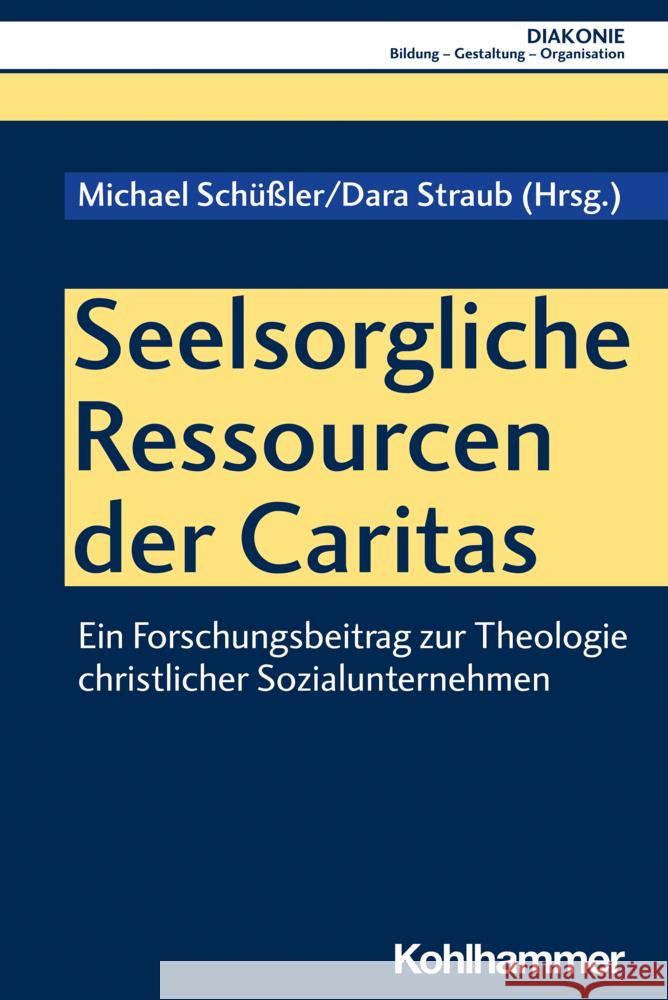 Seelsorgliche Ressourcen Der Caritas: Ein Forschungsbeitrag Zur Theologie Christlicher Sozialunternehmen Michael Schussler Dara Straub 9783170416666