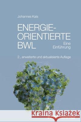 Energieorientierte Bwl: Eine Einfuhrung Johannes Kals 9783170439337 Kohlhammer