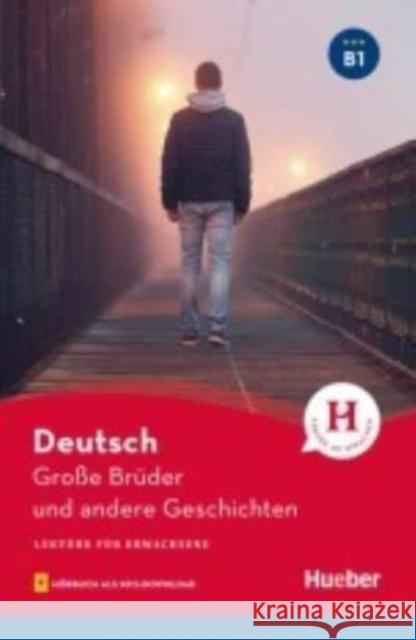 Große Brüder und andere Geschichten Luger, Urs 9783193685803