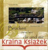 Brücken zwischen dir und mir: Betreuung zu Hause erleben Christine Illetschko, Peter F. Kupfer 9783211735046 Springer Verlag GmbH