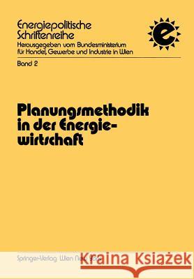 Planungsmethodik in Der Energiewirtschaft Heinz Satzinger 9783211813959 Springer