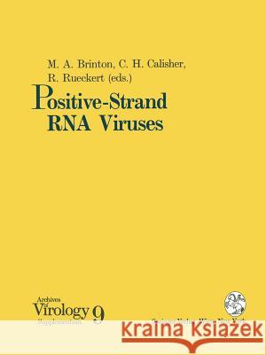 Positive-Strand RNA Viruses Margo A. Brinton Charles H. Calisher Roland Rueckert 9783211825228 Springer