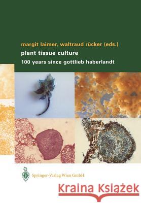 Plant Tissue Culture: 100 Years Since Gottlieb Haberlandt Margit Laimer Waltraud Rucker Margit Laimer 9783211838396 Springer