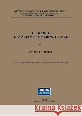 Geologie Des Neuen Semmeringtunnel Schmidt, Walter J. 9783211861226 Springer