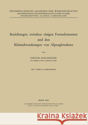 Beziehungen Zwischen Einigen Formelementen Und Den Kleinschwankungen Von Alpengletschern Viktor Paschinger 9783211862919 Springer