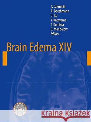 Brain Edema XIV Zbigniew Czernicki Alexander Baethmann Umeo Ito 9783211987582 Springer