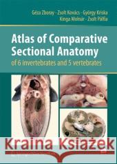 Atlas of Comparative Sectional Anatomy of 6 Invertebrates and 5 Vertebrates Zboray, Géza 9783211997628 Springer