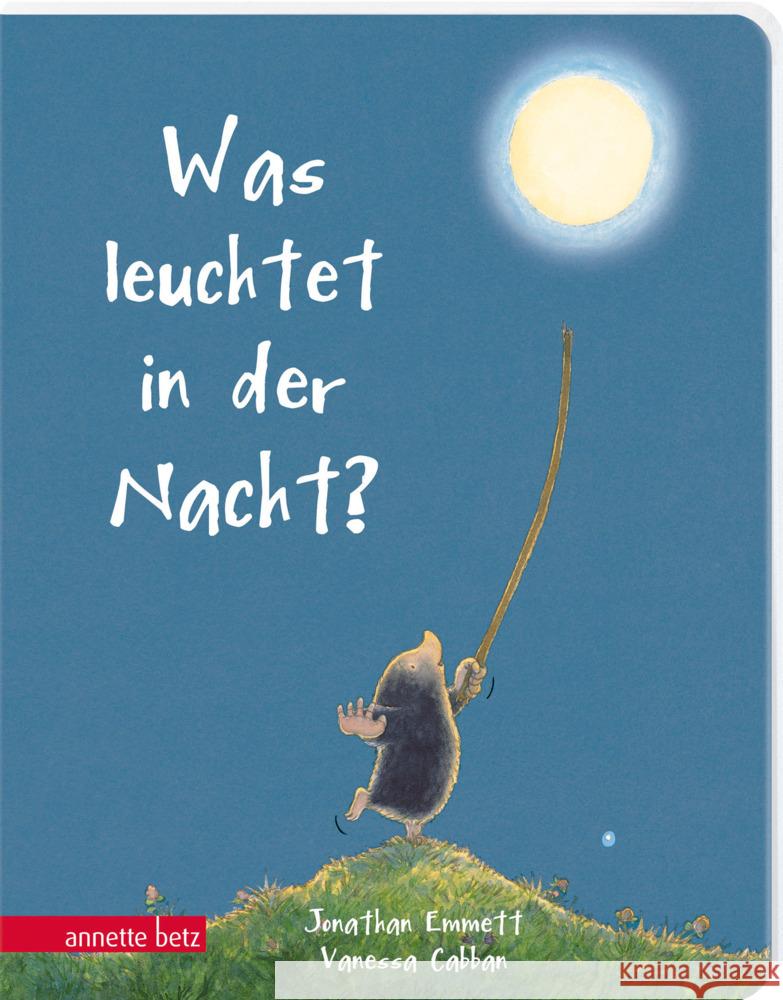 Was leuchtet in der Nacht? Emmett, Jonathan 9783219120103