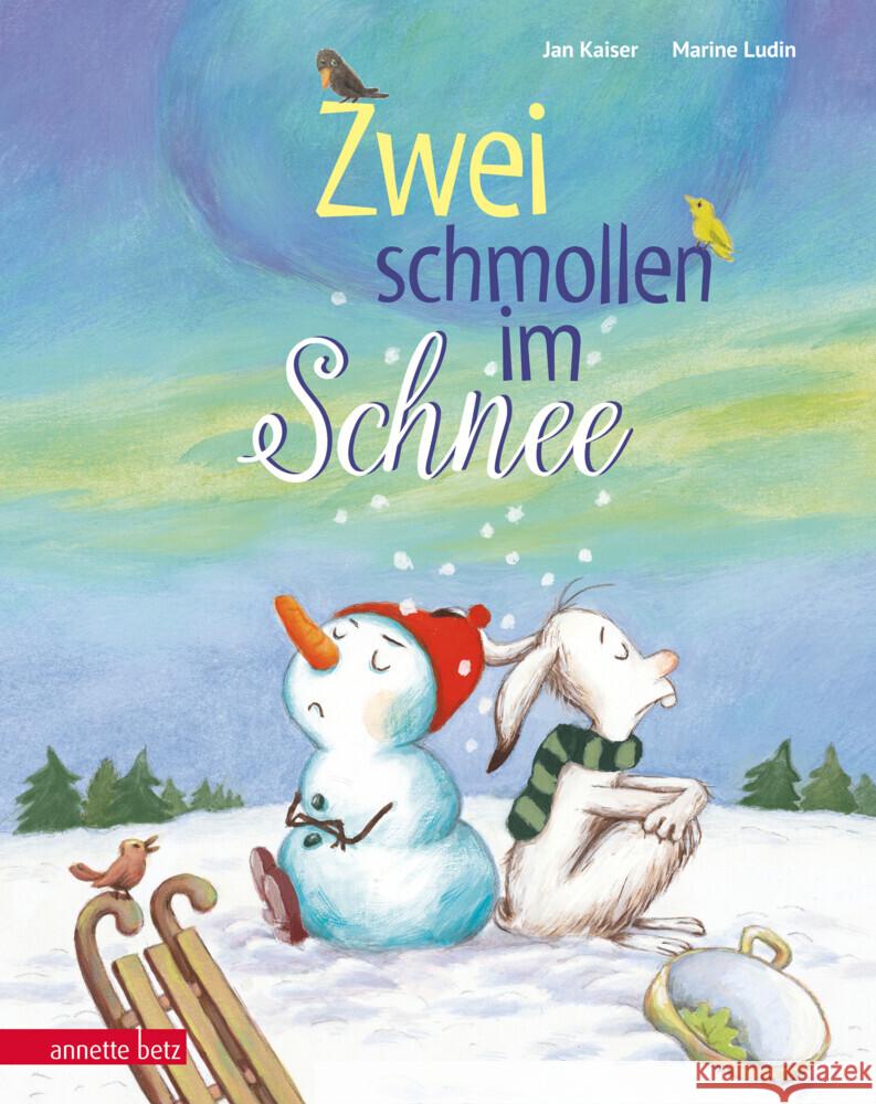 Zwei schmollen im Schnee Kaiser, Jan 9783219120806