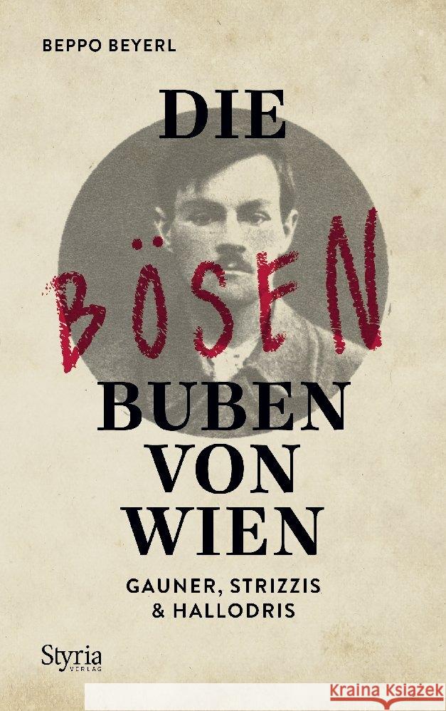 Die bösen Buben von Wien Beyerl, Beppo 9783222136665 Styria