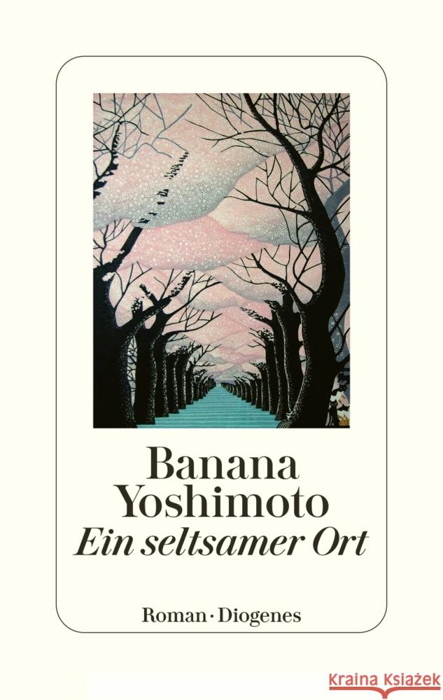 Ein seltsamer Ort Yoshimoto, Banana 9783257072389