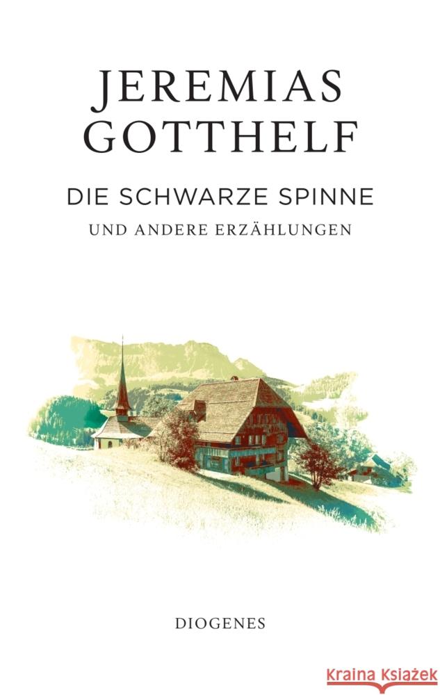 Die schwarze Spinne Gotthelf, Jeremias, Theisohn, Philipp 9783257072525