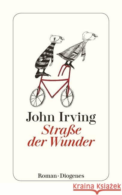 Straße der Wunder : Roman Irving, John 9783257244120