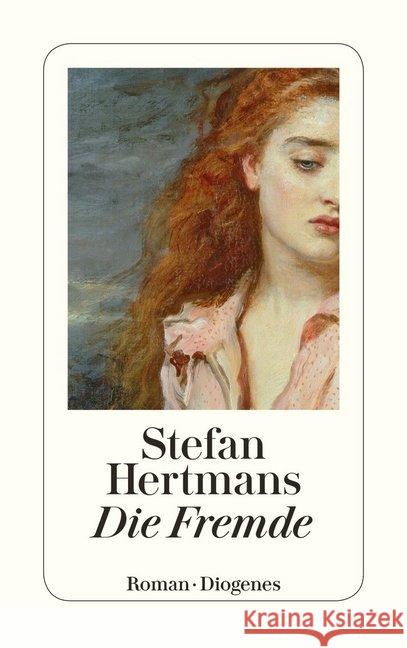 Die Fremde Hertmans, Stefan 9783257245066 Diogenes