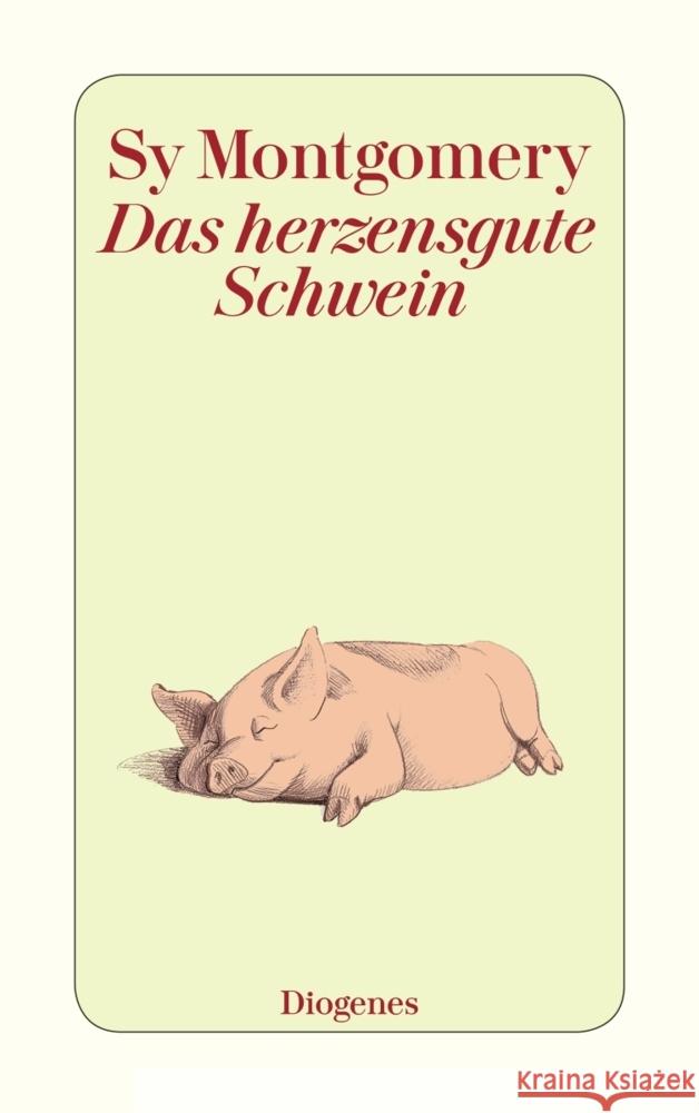 Das herzensgute Schwein Montgomery, Sy 9783257245325 Diogenes