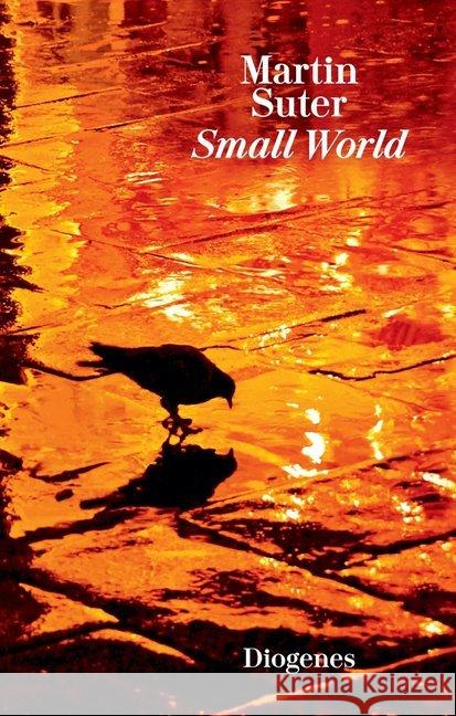 Small World Suter, Martin 9783257261196 Diogenes