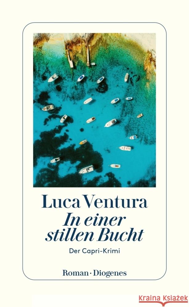 In einer stillen Bucht Ventura, Luca 9783257300901