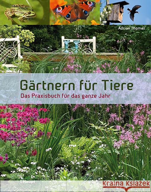 Gärtnern für Tiere : Das Praxisbuch für das ganze Jahr Thomas, Adrian 9783258077598