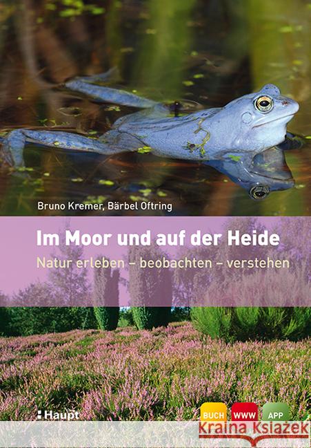 Im Moor und auf der Heide : Natur erleben - beobachten - verstehen. Mit Zugang zur Webseite und einer App Kremer, Bruno P.; Oftring, Bärbel 9783258077772 Haupt