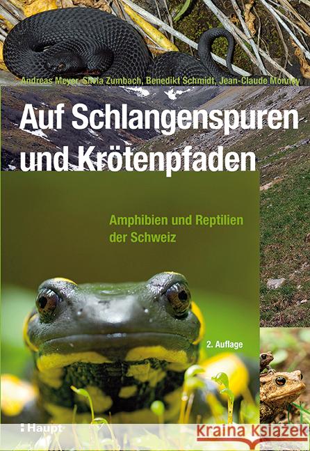 Auf Schlangenspuren und Krötenpfaden : Amphibien und Reptilien der Schweiz Meyer, Andreas; Zumbach, Silvia; Schmidt, Benedikt 9783258078748