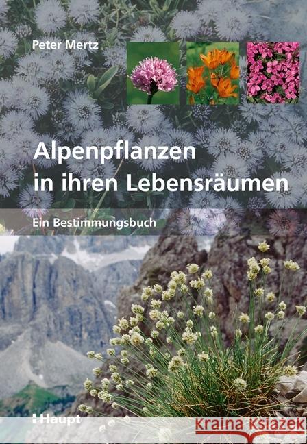 Alpenpflanzen in ihren Lebensräumen : Ein Bestimmungsbuch Mertz, Peter 9783258080055 Haupt