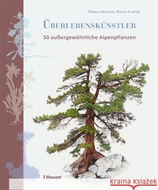 Überlebenskünstler : 50 außerordentliche Alpenpflanzen Schauer, Thomas; Caspari, Stefan 9783258080796