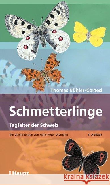 Schmetterlinge : Tagfalter der Schweiz Bühler-Cortesi, Thomas 9783258081250