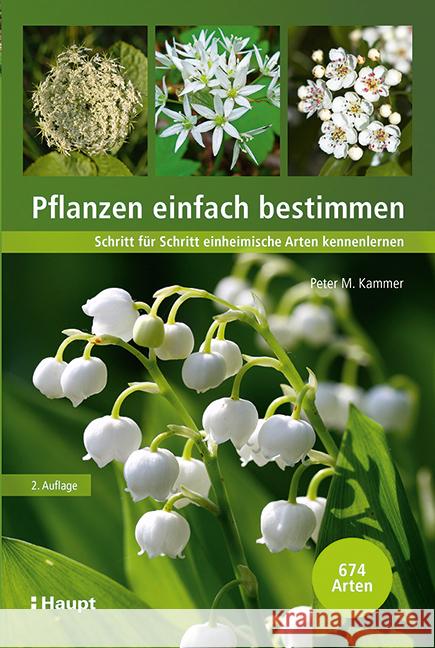 Pflanzen einfach bestimmen Kammer, Peter M. 9783258081915 Haupt
