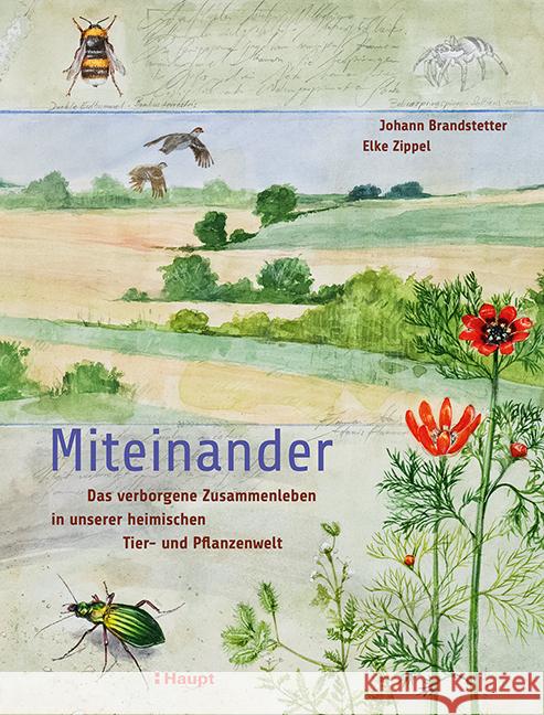 Miteinander Brandstetter, Johann, Zippel, Elke 9783258082974