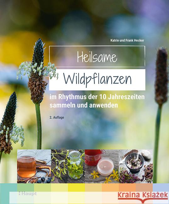 Heilsame Wildpflanzen Hecker, Frank, Hecker, Katrin 9783258083179