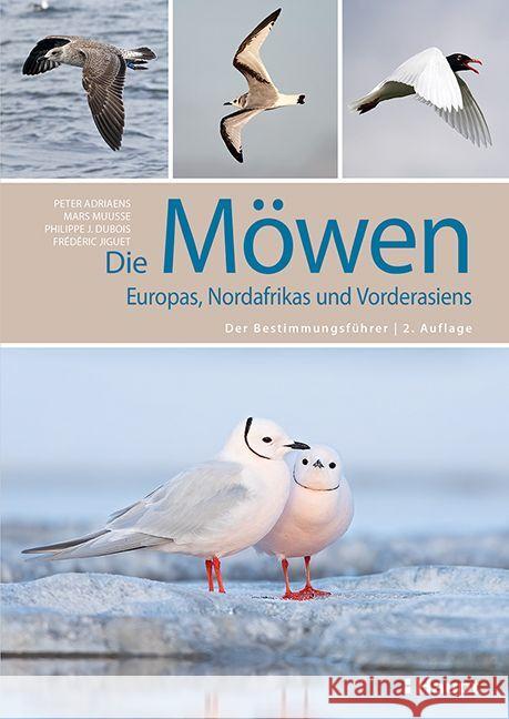 Die Möwen Europas, Nordafrikas und Vorderasiens Adriaens, Peter, Muusse, Mars, Dubois, Philippe J. 9783258083537