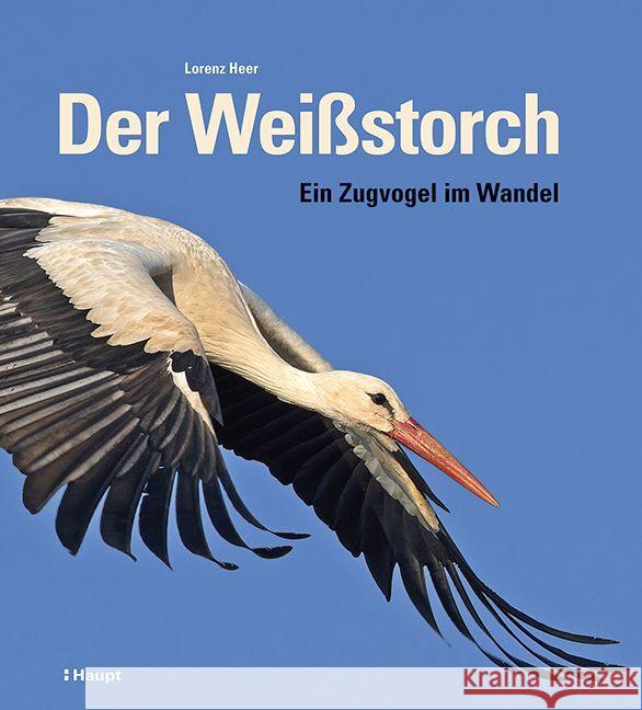 Der Weißstorch Heer, Lorenz 9783258083544