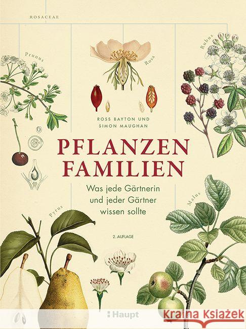 Pflanzenfamilien Bayton, Ross, Maughan, Simon 9783258083551